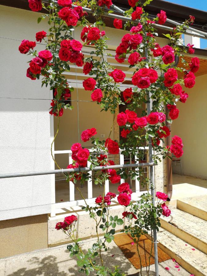 Brize Guest House Tuzla Dış mekan fotoğraf